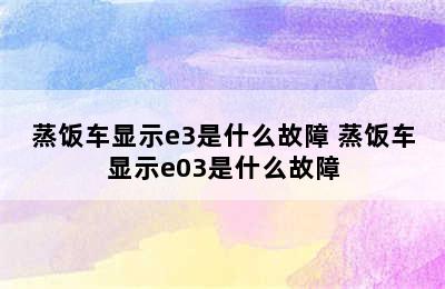 蒸饭车显示e3是什么故障 蒸饭车显示e03是什么故障